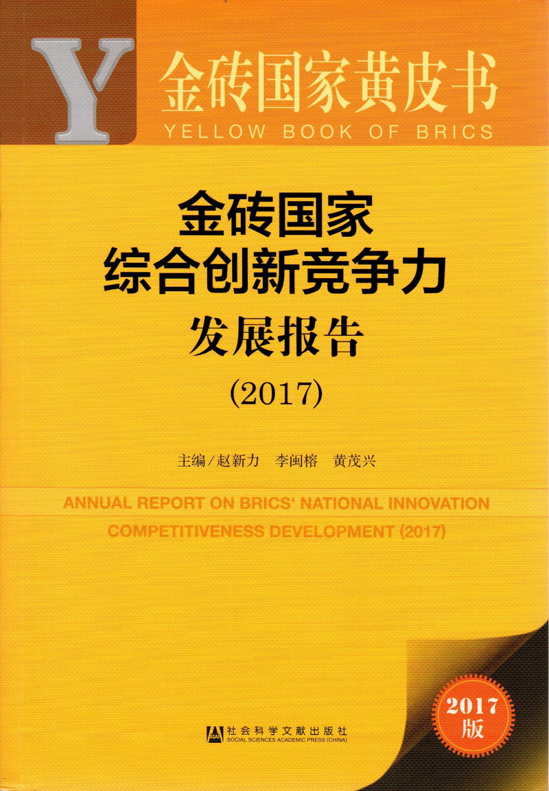 免费操逼视频“操死了～”金砖国家综合创新竞争力发展报告（2017）